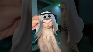 Kucing maskot piala dunia #kucingviral #pialadunia