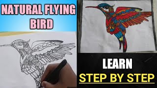 How to draw and color a bird for beginners Step by step #birddrawing #flyingbird #Dhairya'scraft .