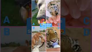 Funny Animal Videos - Funniest Cute Cats And Dogs Video Compilation#animals#shorts #viral #trending