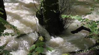 Souffrir ou la Parabole de la rivière en crue