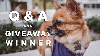 Giveaway Winner and Q&A: Fave Fuji Lens, How I got into Wedding Photography, and MORE!