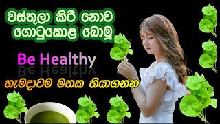 ගොටුකොළ ගුණ වරුණ