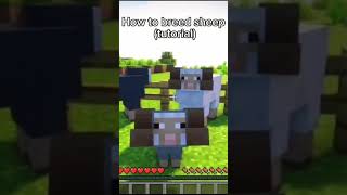 minecraft sheep tutorial  | #gaming #minecraft #minecrafttutorial