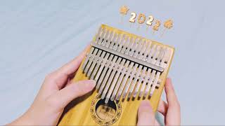 IU - Drama (드라마) Kalimba cover