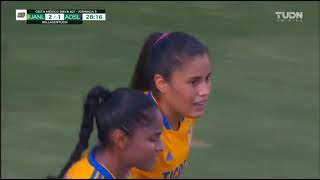 Resumen Del Los Goles De Tigres vs El Atletico de san luis tigres 5-1