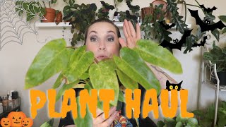 HOUSE PLANT HAUL! Everything I Bought in October 🎃