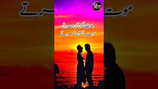 #sadpoterystatus | Waqt dia kro Apny Chahny walaon ko #urdupoetry #youtubeshorts #shortpoetry #viral