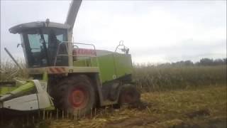 Mega extremalne koszenie kukurydzy na kiszonke WTOPY |Class|JD|NH|Zetor|McCormick|Case|