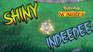 I Catch Shiny Indeedee [Pokemon Scarlet]