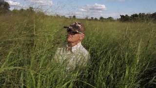 RC Big Rock Switchgrass Field Visit in Eastern Canada