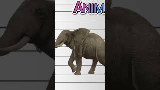 Animals Name