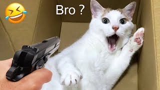 New Funny Cats and Dogs Videos 🐶🐱 |  Funny Animal Videos  #15