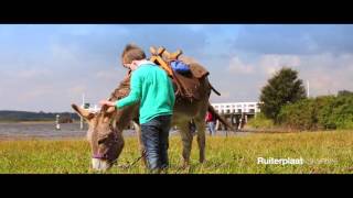 BEELDKRACHT - Bedrijfsvideo Ruiterplaat Vakanties