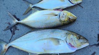 pesca en los cayos de la Florida