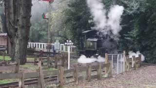 Puffing Billy Railway 13 August 2019