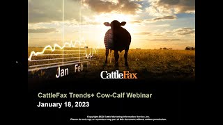 CattleFax Trends+ Webinar January 18, 2023