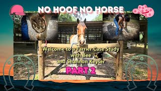 Part 2: No Hoof No Horse - Bee Case Study - How hoof trim can affect how the horse stands behind.