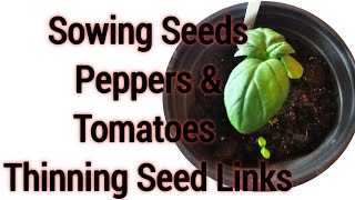 Sowing Seeds [Peppers & Tomatoes] Also, Thinning Out Seeds Links [ Zone 7B Gardening Waldorf MD.]