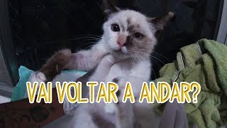 VLOCAT | AINDA HÁ ESPERANÇA