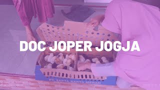 Doc Joper Jogja