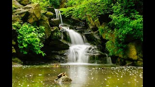 ASMR Sleep to the relaxing sound of a fresh waterfall