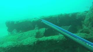 apocalipsis spearfishing р 2