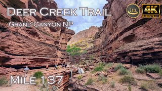 Deer Creek Trail - Mile 137 - Grand Canyon NP - Colorado River - V360