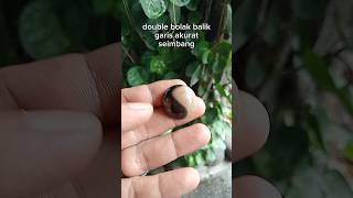 posisi seimbang #viral #galihkelor #gemstone #batuakik #yinyang #sempurna #bali