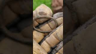 300 Year Old Buckle: Metal Detecting Wales