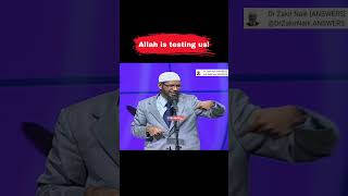 allah tests us with what we love #shorts #drzakirnaik #islamicteachings