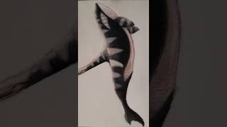 A surreal collage of all my killerwhales#shorts#orca#shortsart #drawing