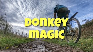 Donkey Magic