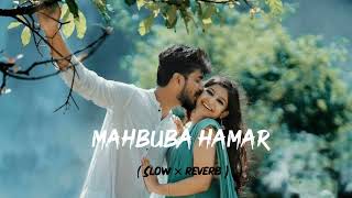 #Aathwa ajuba hayin mehboba || hamar bhojpuri trending🥰🎧 slow and Reverb song 🎶neelkamal singh