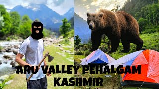 Aru valley | Pehalgam  | Night camping | Kashmir | Part 2