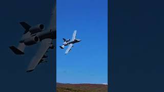 A-10 warthog air to ground weaponary training #military #usa #shorts