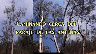 Sierra de Guadalupe, caminando cerca del paraje de las antenas