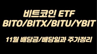 미국월배당 비트코인ETF BITO/BITX/BITU/YBIT 11월말 배당금/배당일, 주가정리