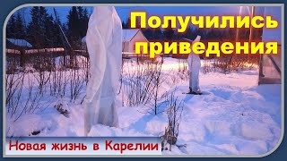 Как мы укрыли деревья на зиму. Почистила снег, спасла машину, а дровишки каждый день.