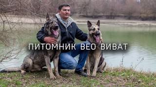 ВЕО - интервью с заводчиком! Середкин В.Э.