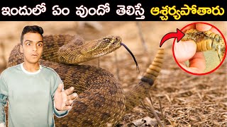 QR Code In SKY & TOP 10 INTERESTING FACTS IN TELUGU | TELUGU FACTS DYK EP-90