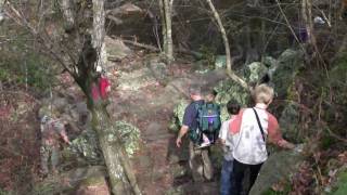 The Hike at Petit Jean Mountain