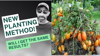 Planting My Tomatoes In A Whole New Way! |WILL IT WORK? | WILL IT GROW? |