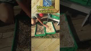 Mushroom Insulation with Beau Davidson | Permaculture Technology Jamboree #shorts