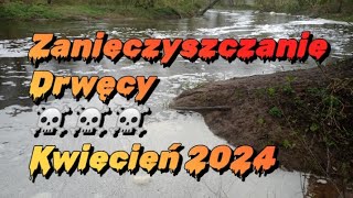 Zanieczyszczenie Drwęcy ☠️ Interwencja obywatelska🚨 @DCOFishing