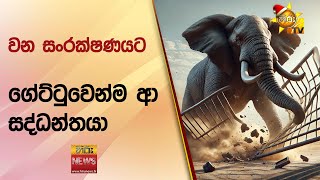 වන සංරක්ෂණයට ගේට්ටුවෙන්ම ආ සද්ධන්තයා - Hiru News