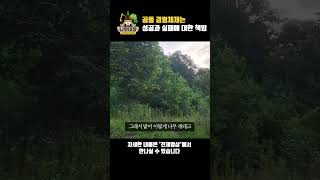 공동 경영체제는 성공과 실패에 대한 책임 | 나무대장🌳 나무농사의 모든것