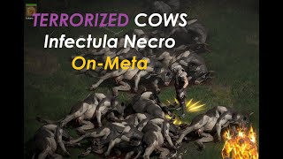 TERRORIZED Cows Infectula Necro - D2R ON-Meta playthrough