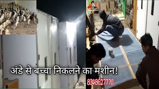 अंडे से बच्चा निकलने का मशीन!