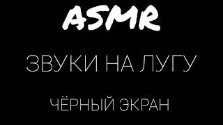 АСМР ЗВУКИ НА ЛУГУ / ASMR SOUNDS ON THE MEADOW / ЧЁРНЫЙ ЭКРАН / BLACK SCREEN