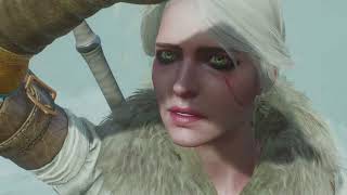 The Witcher 3: Wild Hunt- Mission 37- Ted Deireadh, The Final Age (Final Mission)